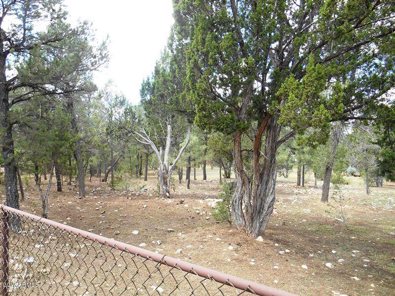 2088 Ranger Road Overgaard, AZ 85933 - Photo 35 of 35 DSCN4930