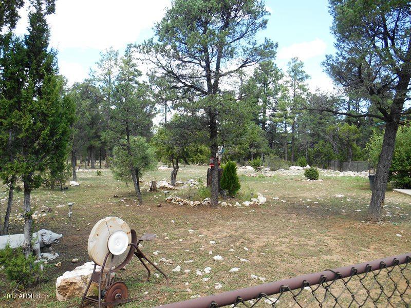 2088 Ranger Road Overgaard, AZ 85933 - Photo 7 of 35 DSCN4929