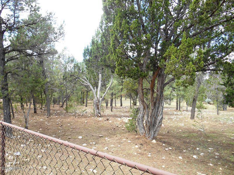 2088 Ranger Road Overgaard, AZ 85933 - Photo 8 of 35 DSCN4930