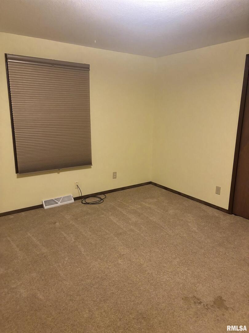 418 East Division Street Kewanee, IL 61443 - Photo 35 of 72 an empty room with natural light