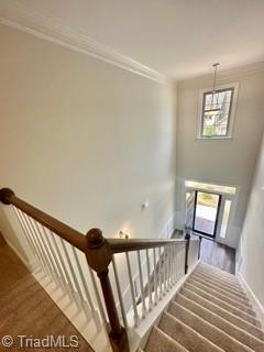 3840 Thistleberry Road High Point, NC 27265 - Photo 3 of 21 Gallery Image 3