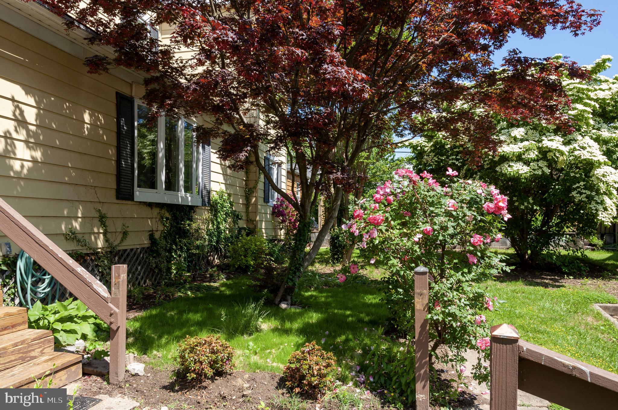 216 Clyde Avenue Baltimore, MD 21227 - Photo 4 of 64 Side View, flowering trees and shrubbery