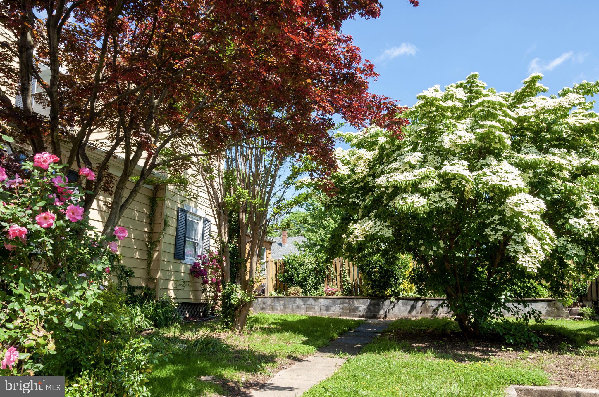216 Clyde Avenue Baltimore, MD 21227 - Photo 9 of 64 Beautiful gardens