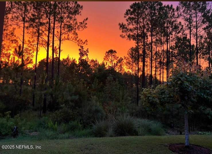 45 Oban Court St. Johns, FL 32259 - Photo 52 of 53 a view of outdoor space and yard
