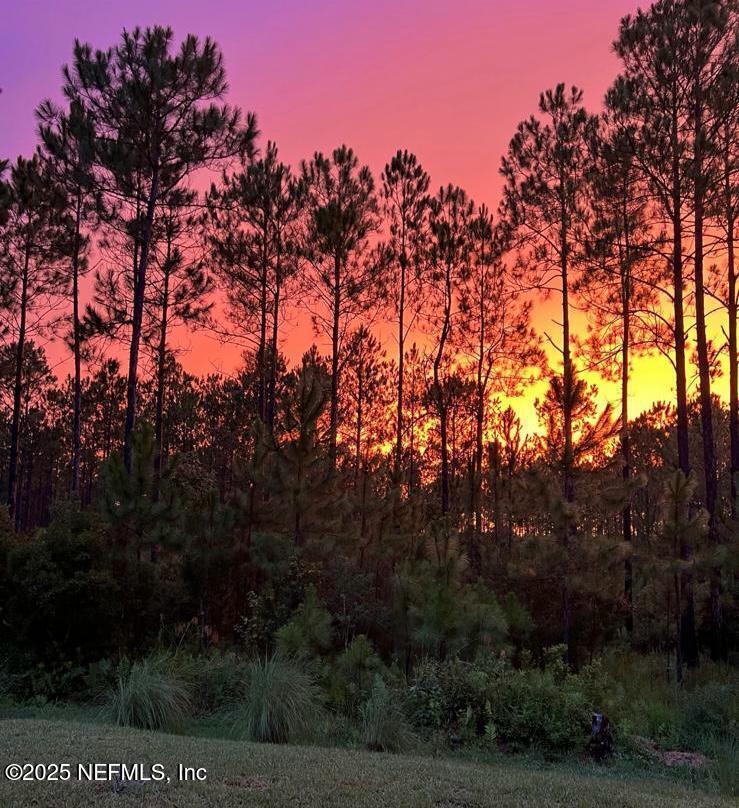 45 Oban Court St. Johns, FL 32259 - Photo 53 of 53 a view of mountain view with lots of trees