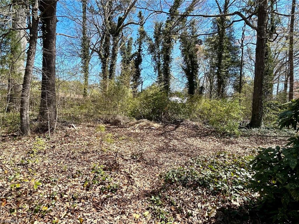 0 Milling Road Mocksville, NC 27028 - Photo 2 of 5