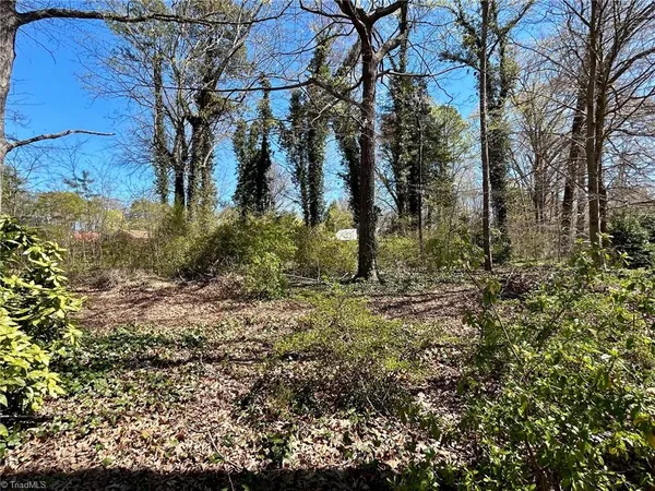 $45,000 | 0 Milling Road, Mocksville, NC 27028