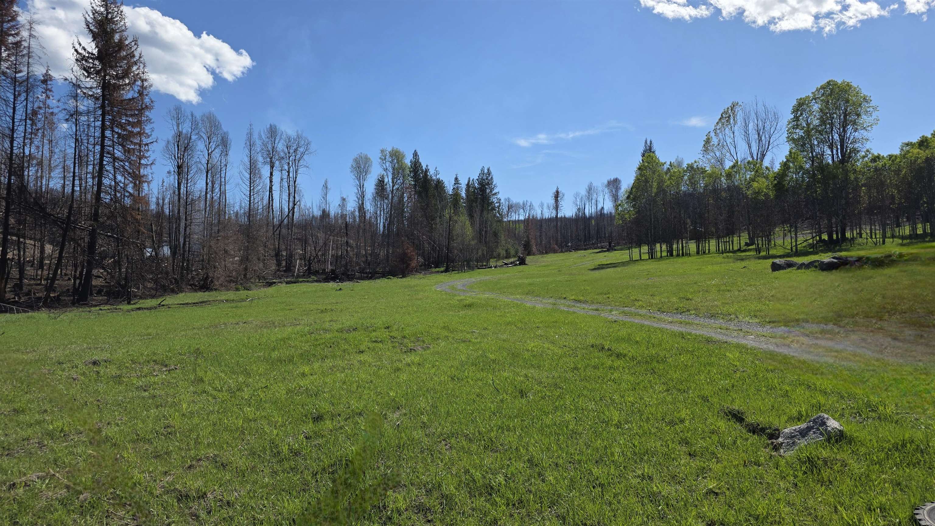 2433 B Widow Road Colville, WA 99114 - Photo 1 of 11
