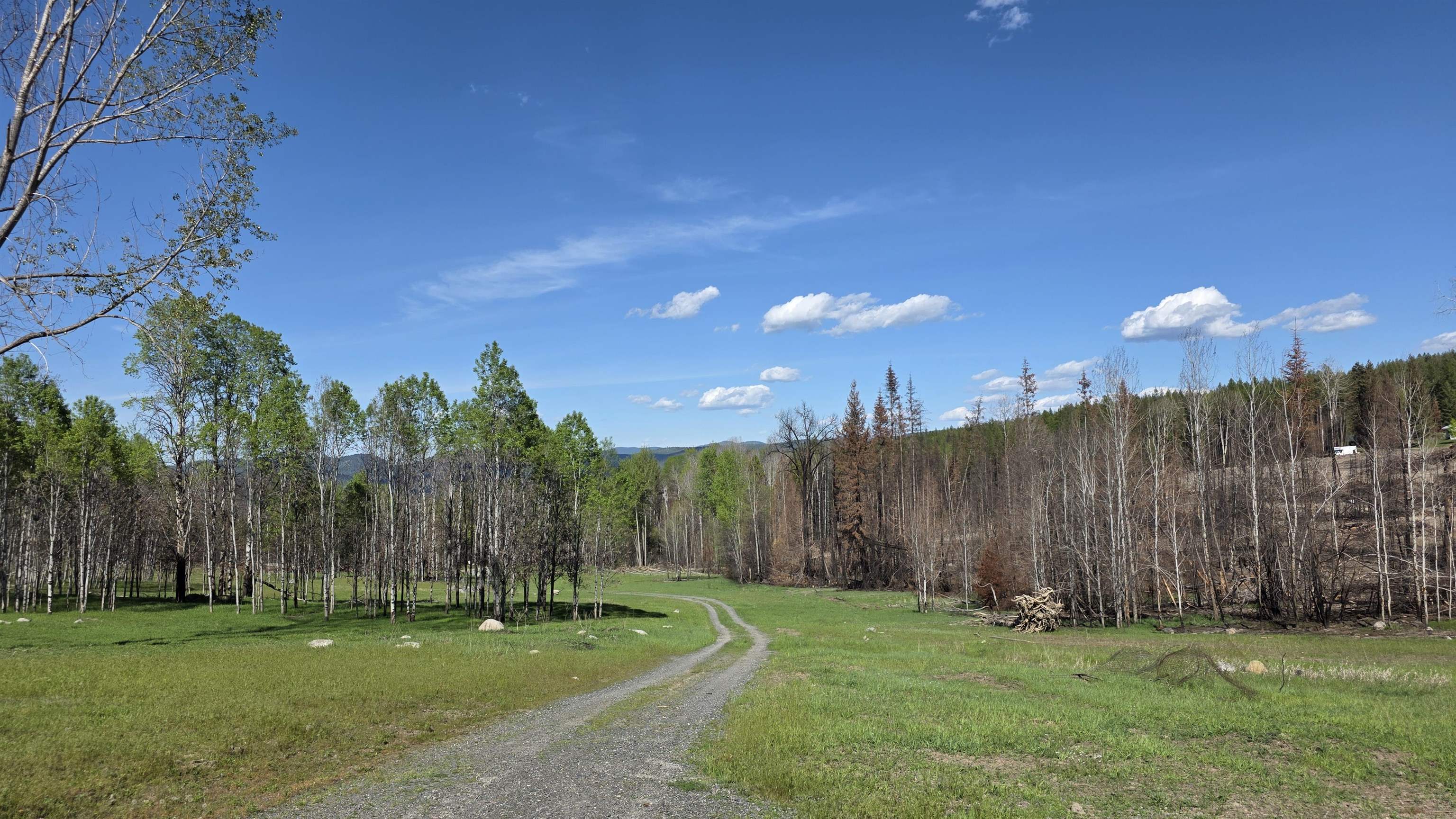 2433 B Widow Road Colville, WA 99114 - Photo 11 of 11