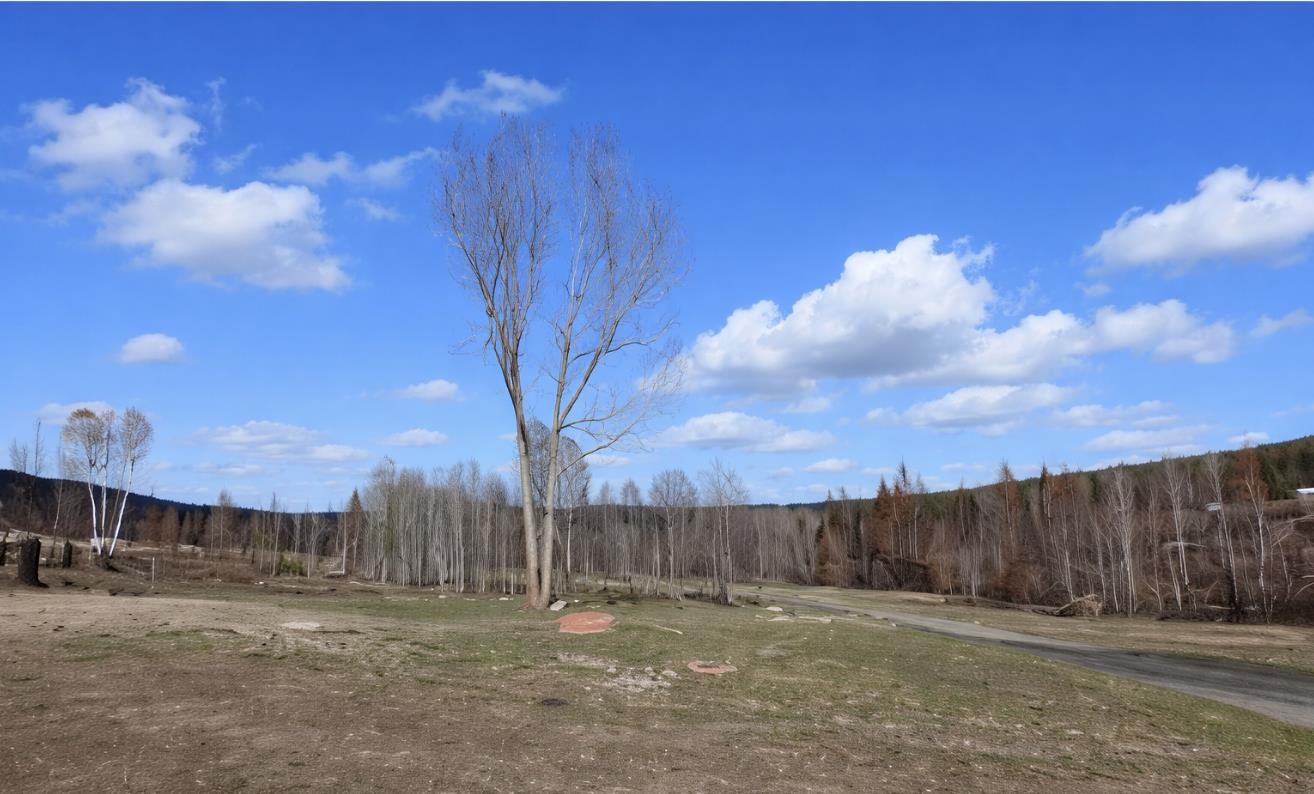 2433 B Widow Road Colville, WA 99114 - Photo 2 of 9