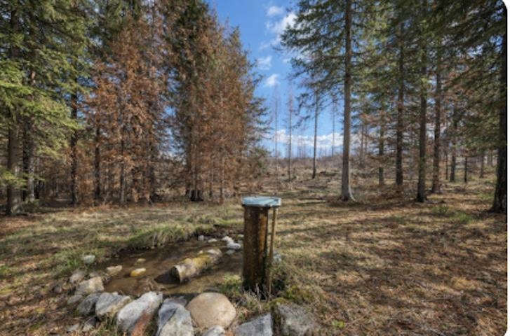 2433 B Widow Road Colville, WA 99114 - Photo 2 of 11