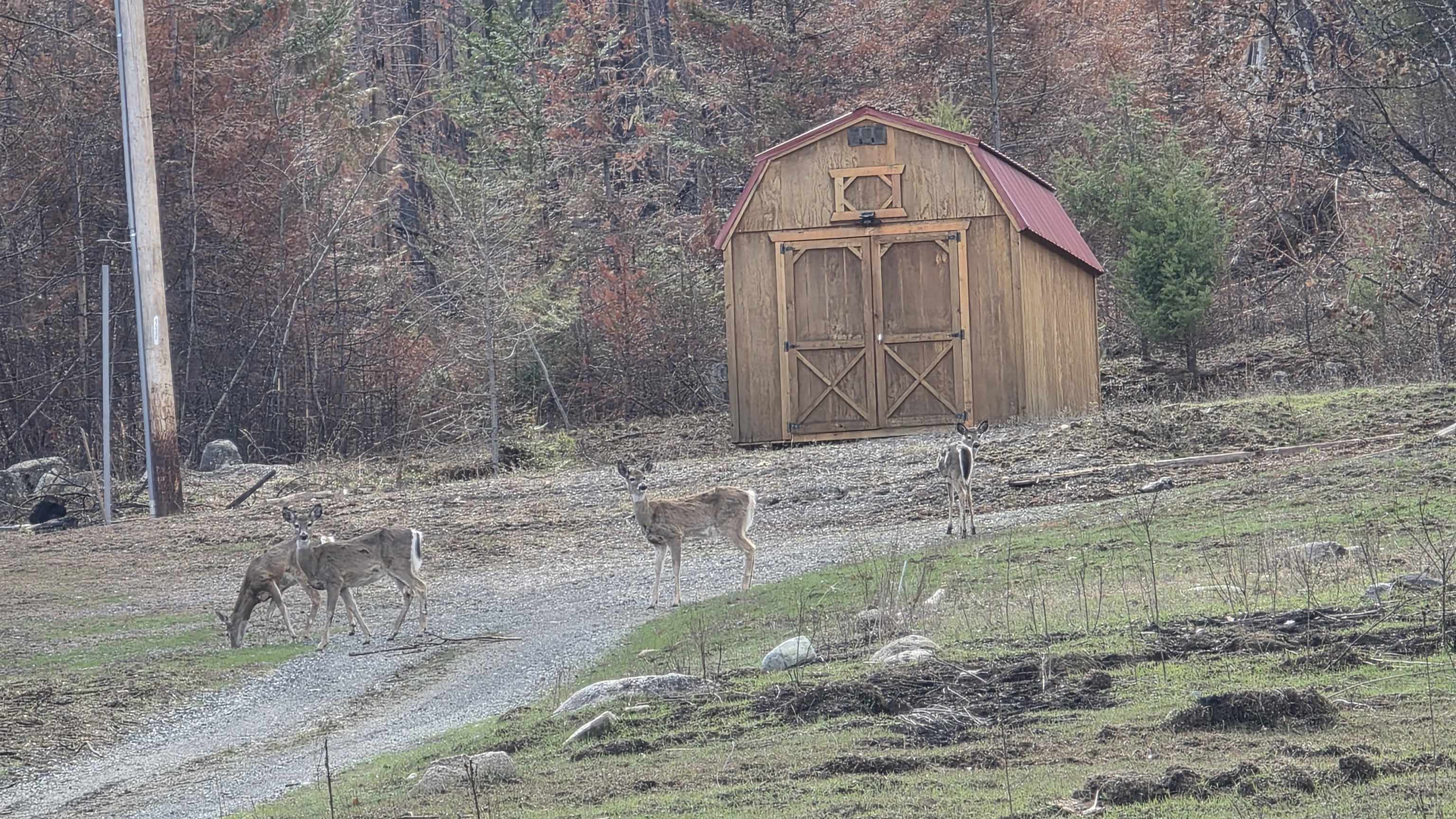 2433 B Widow Road Colville, WA 99114 - Photo 3 of 9