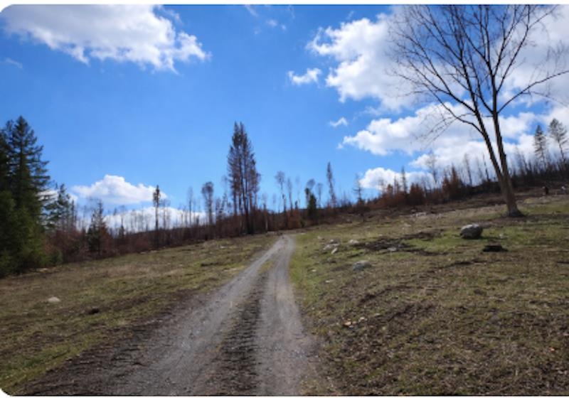 2433 B Widow Road Colville, WA 99114 - Photo 9 of 9