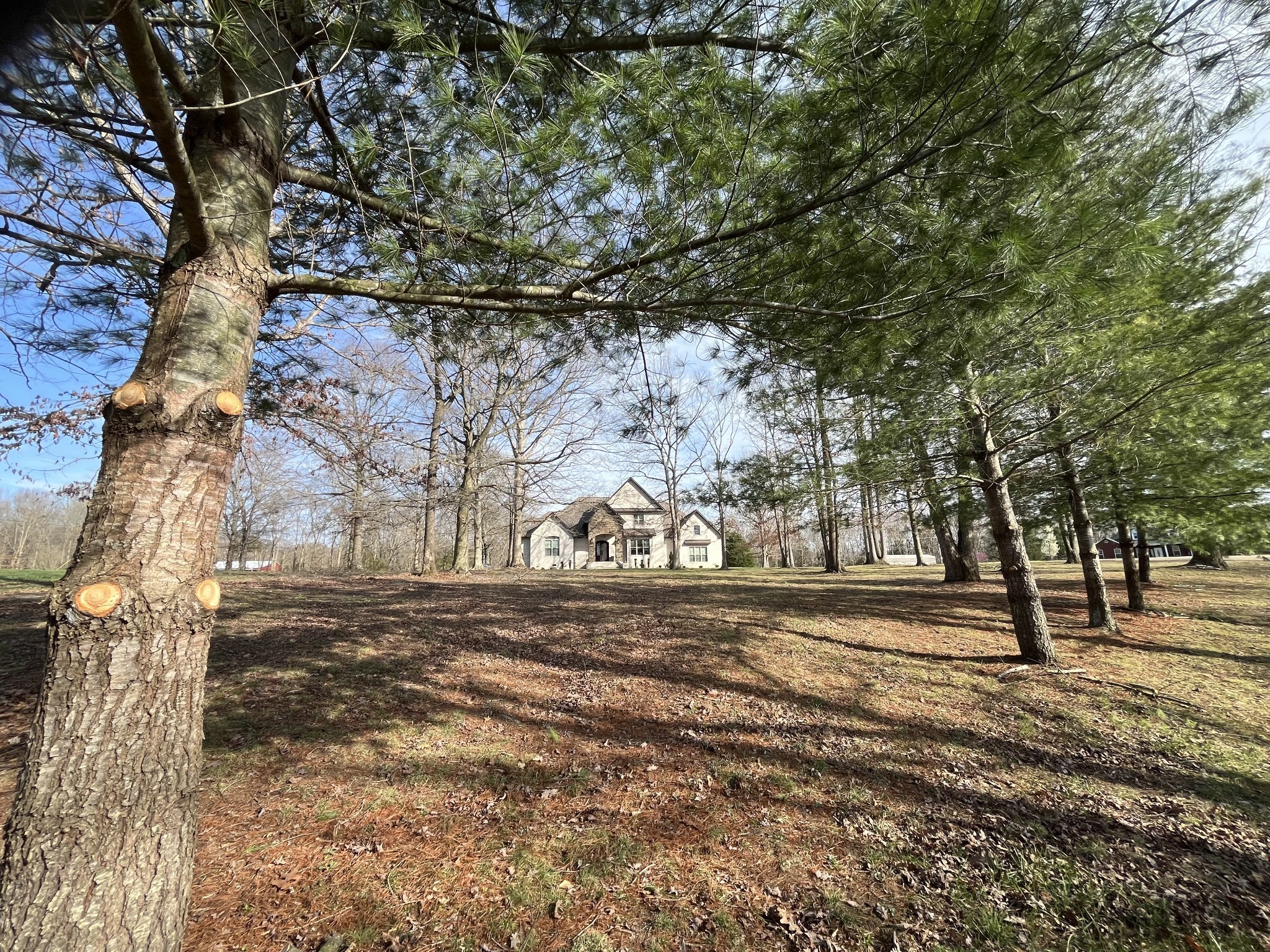 1288 B Smiley Troutt Road Bethpage, TN 37022 - Photo 48 of 57