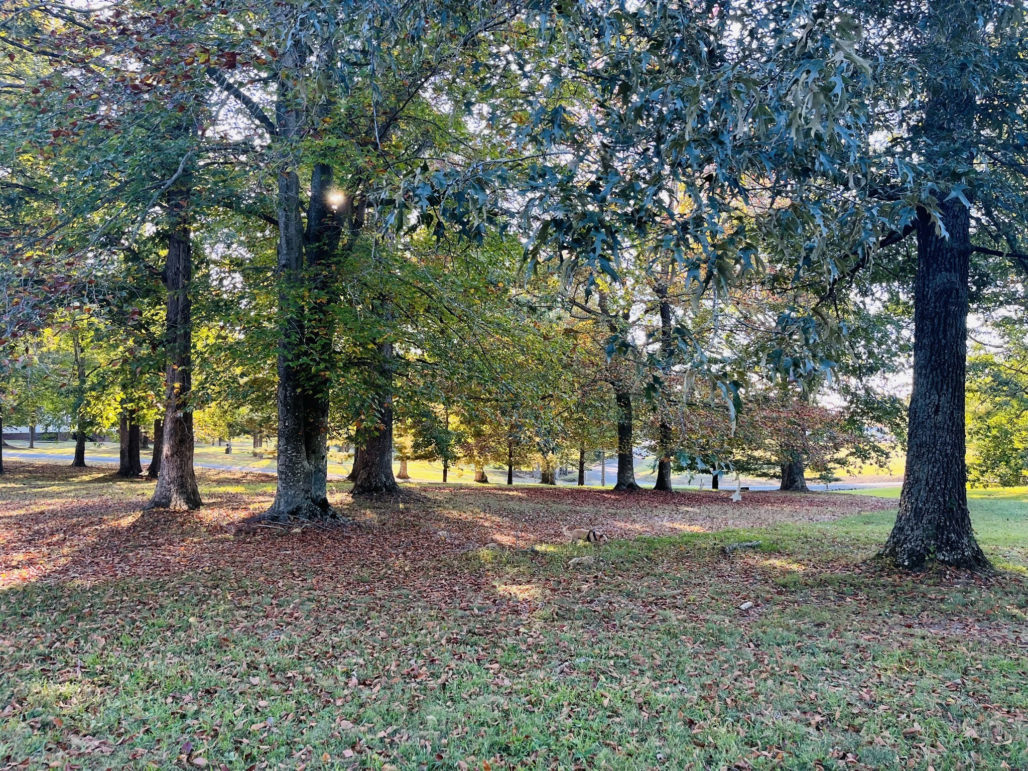 1288 B Smiley Troutt Road Bethpage, TN 37022 - Photo 56 of 57