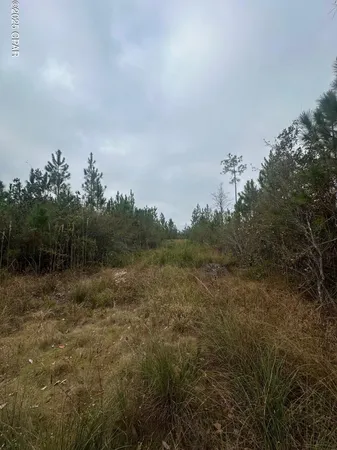 $142,000 | 0 Fl-71, Blountstown, FL 32424