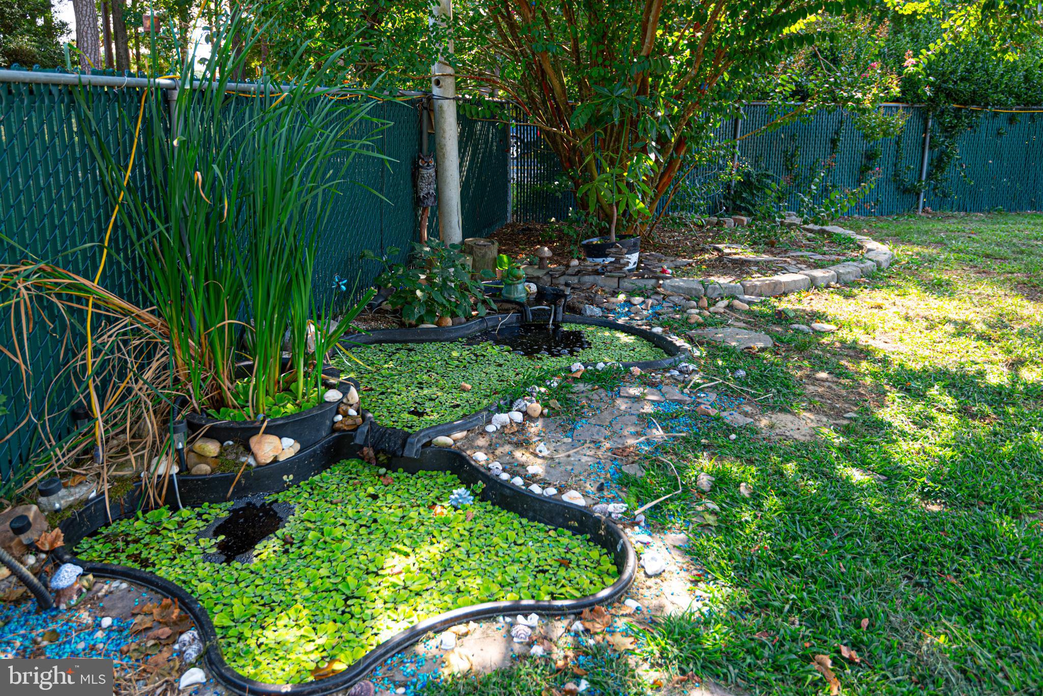 36229 Roxana Road Frankford, DE 19945 - Photo 21 of 62 Fish Pond