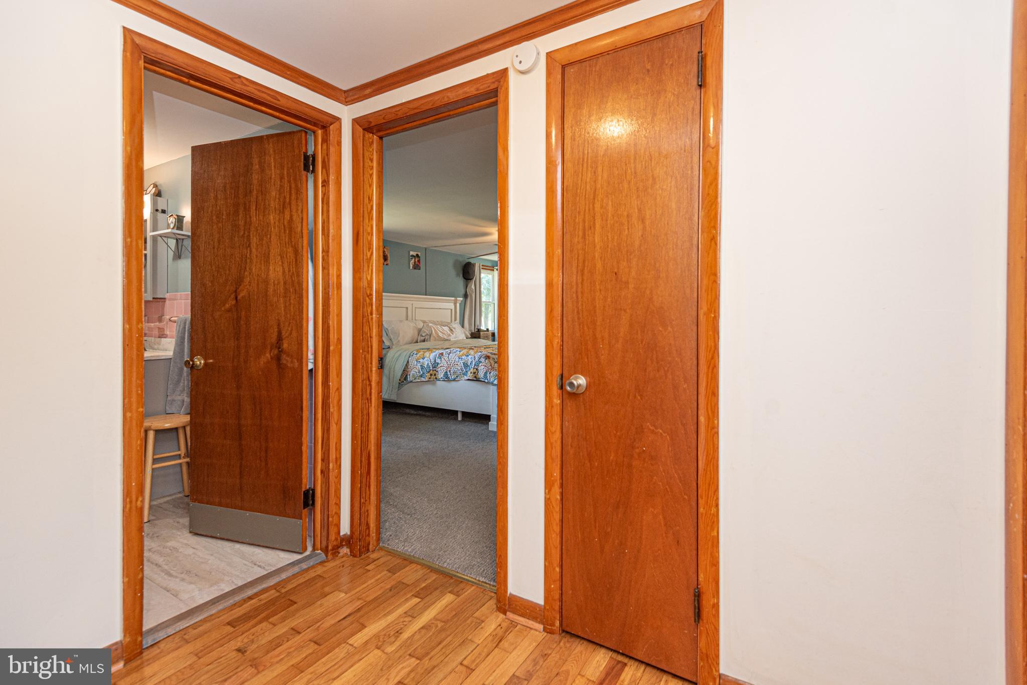 36229 Roxana Road Frankford, DE 19945 - Photo 27 of 62