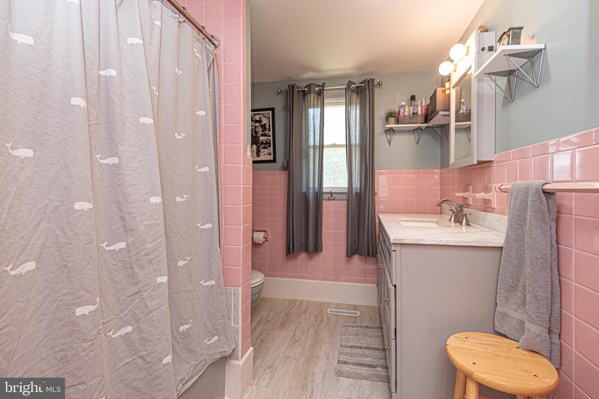 36229 Roxana Road Frankford, DE 19945 - Photo 29 of 62 2nd Bath