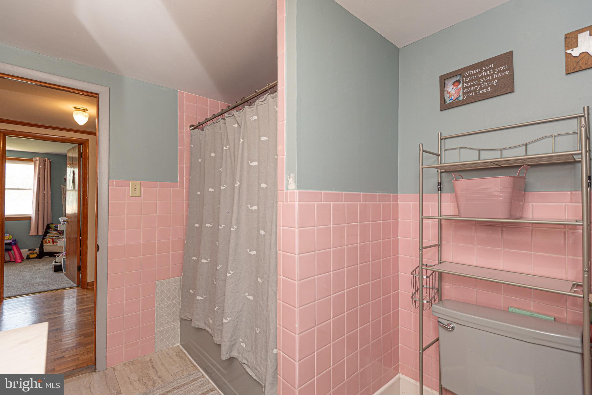 36229 Roxana Road Frankford, DE 19945 - Photo 32 of 62 2nd Bath