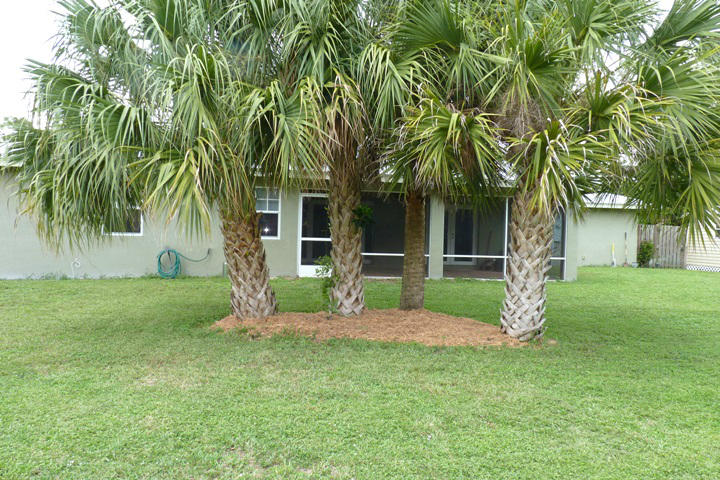 123 Springdale Road Lake Worth, FL 33467 - Photo 45 of 46 SHADE TREES