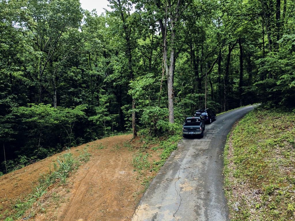 0 Blowing Cave Road Sevierville, TN 37876 - Photo 1 of 34 Gallery Image 1