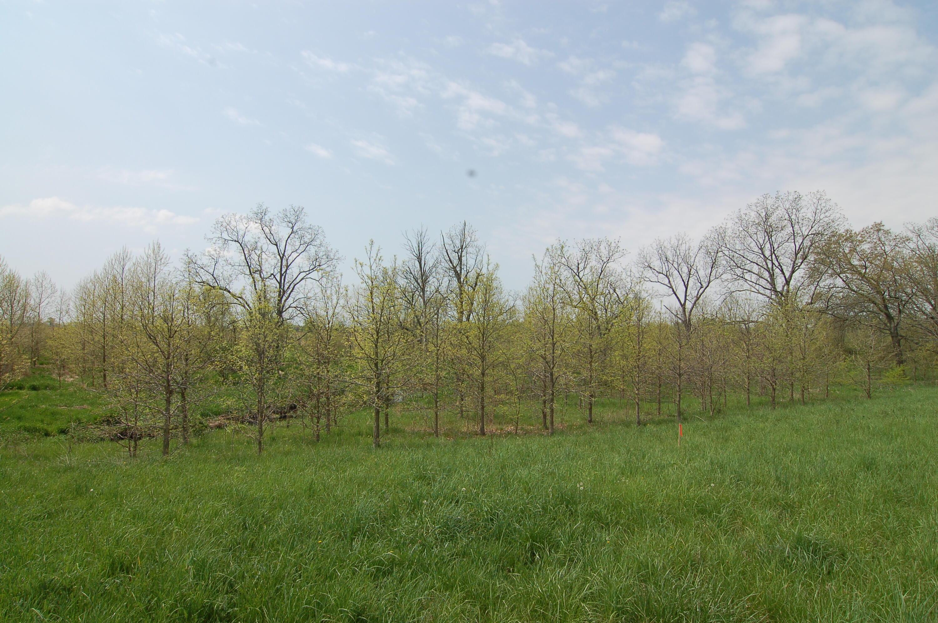 0 Rosedale-plain Rosedale-Plain City Road, Unit TRACT 3 Irwin, OH 43029 - Photo 7 of 31 View of Barron Creek from Backyard