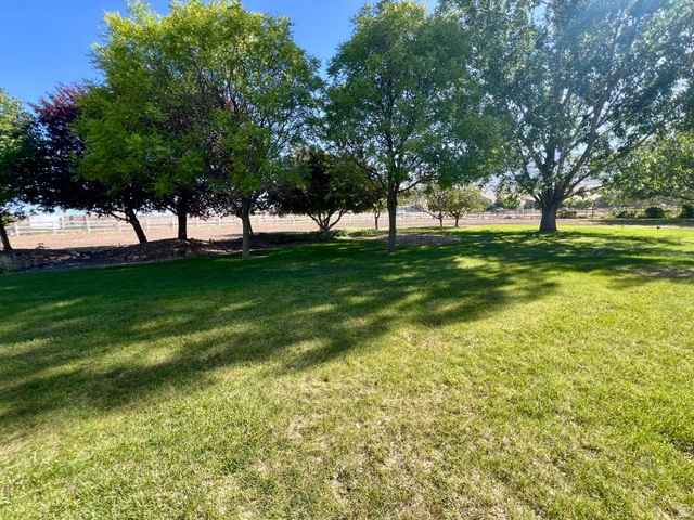 812 East Bates Cyn Road Tooele, UT 84074 - Photo 131 of 144 Expansive outdoor space featuring a manicured lawn, mature trees providing natural shade, and a white fence bordering the property