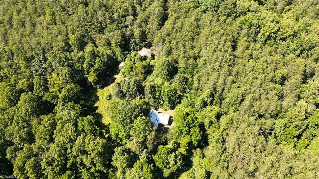 1215 Lucius Beasley Road Westfield, NC 27053 - Photo 5 of 25