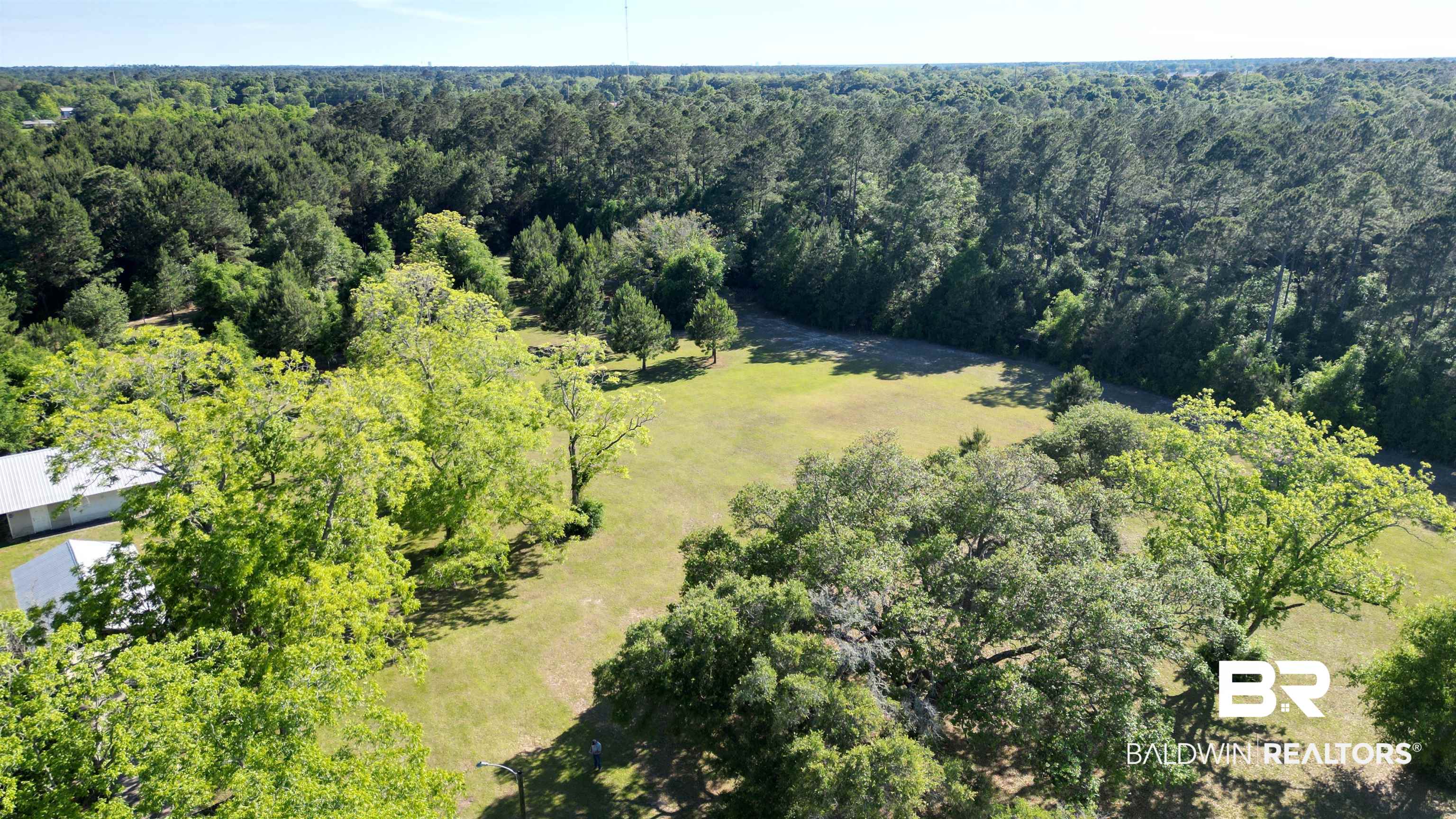33370 Highway 98 Lillian, AL 36549 - Photo 5 of 58 Expansive parcel featuring a large grassy clearing and mature trees
