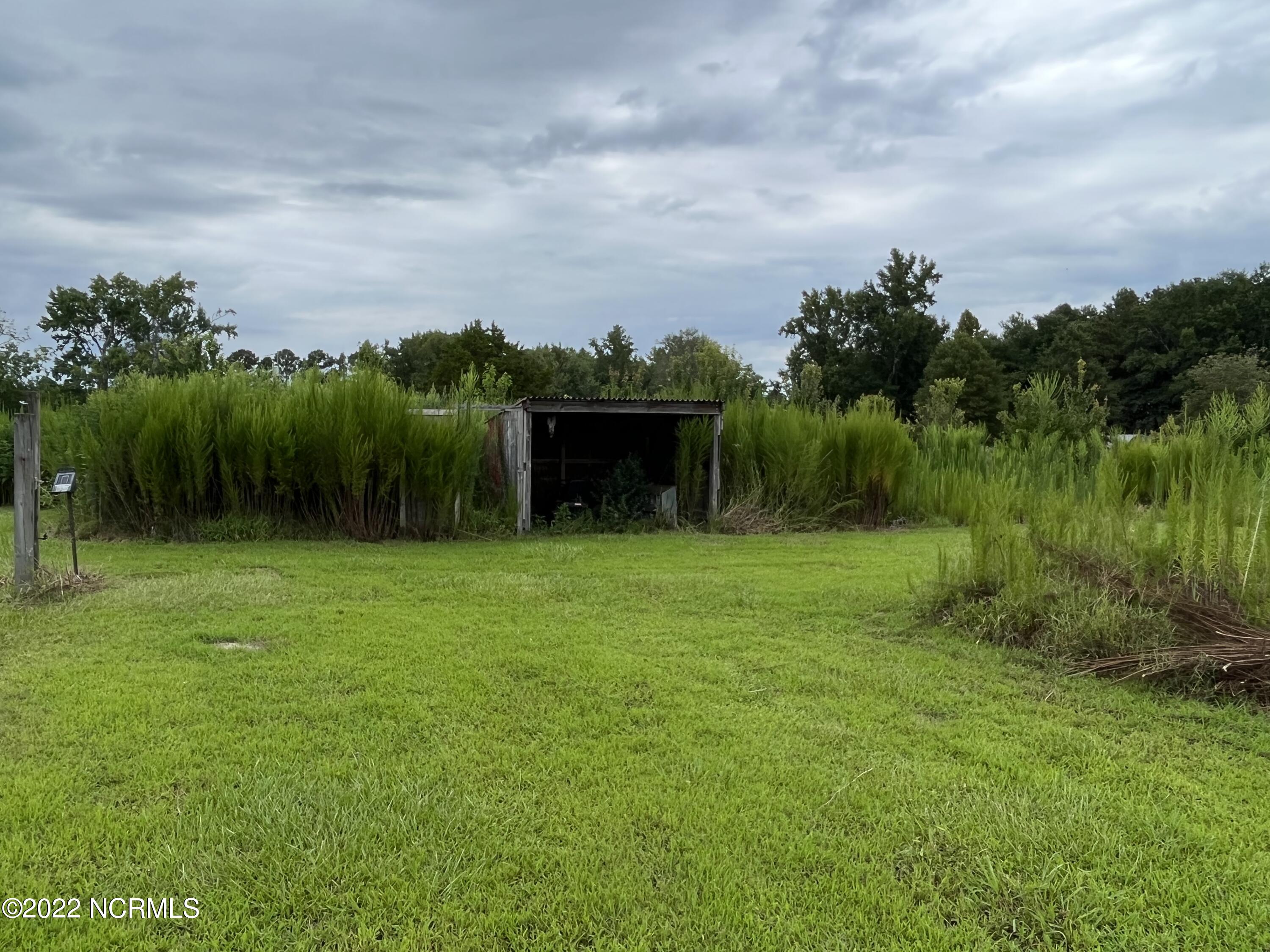 1810 Taylor Road Chocowinity, NC 27817 - Photo 6 of 49 Lean-to shed