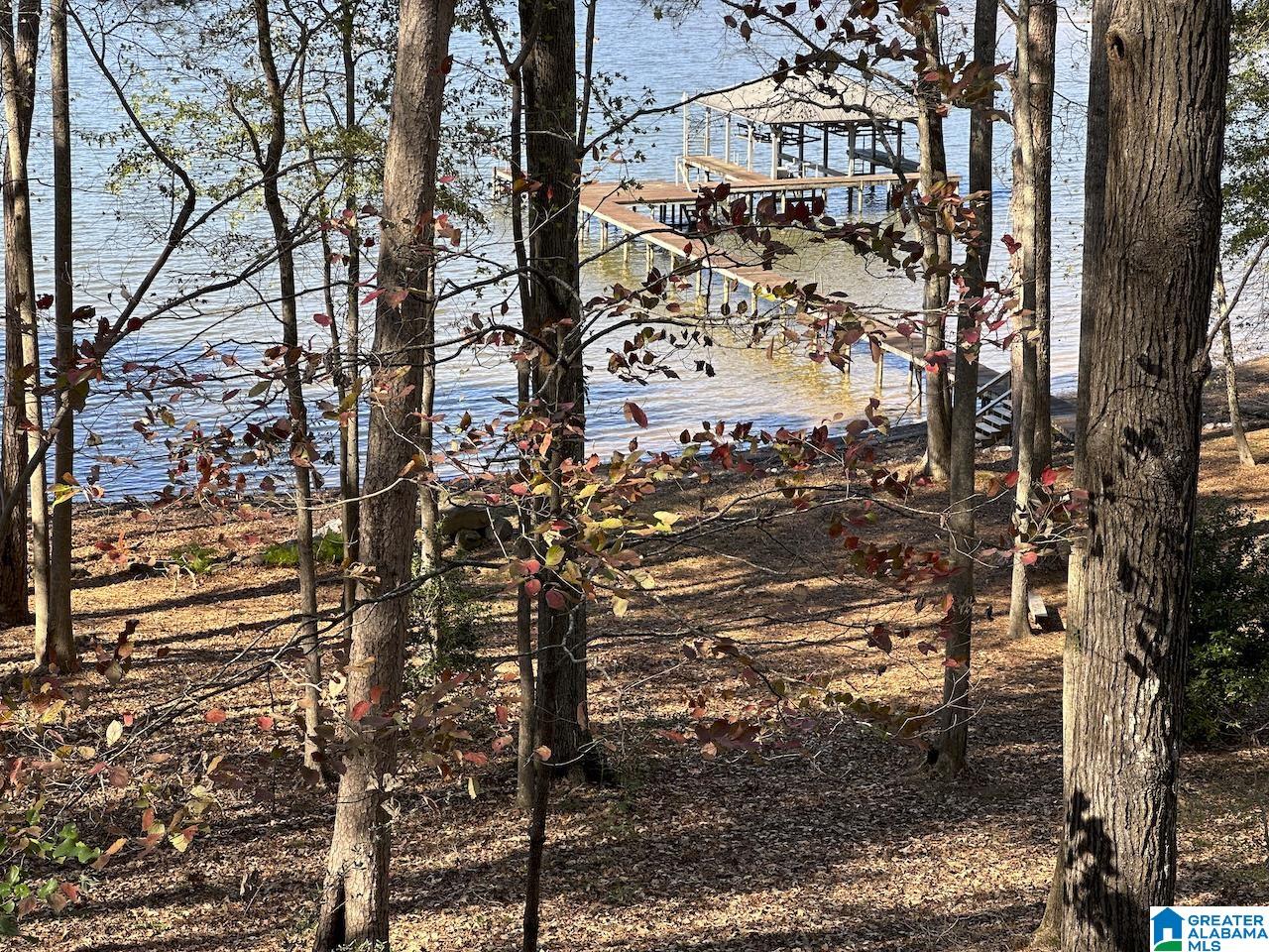3371 County Road 104 Cedar Bluff, AL 35959 - Photo 89 of 100