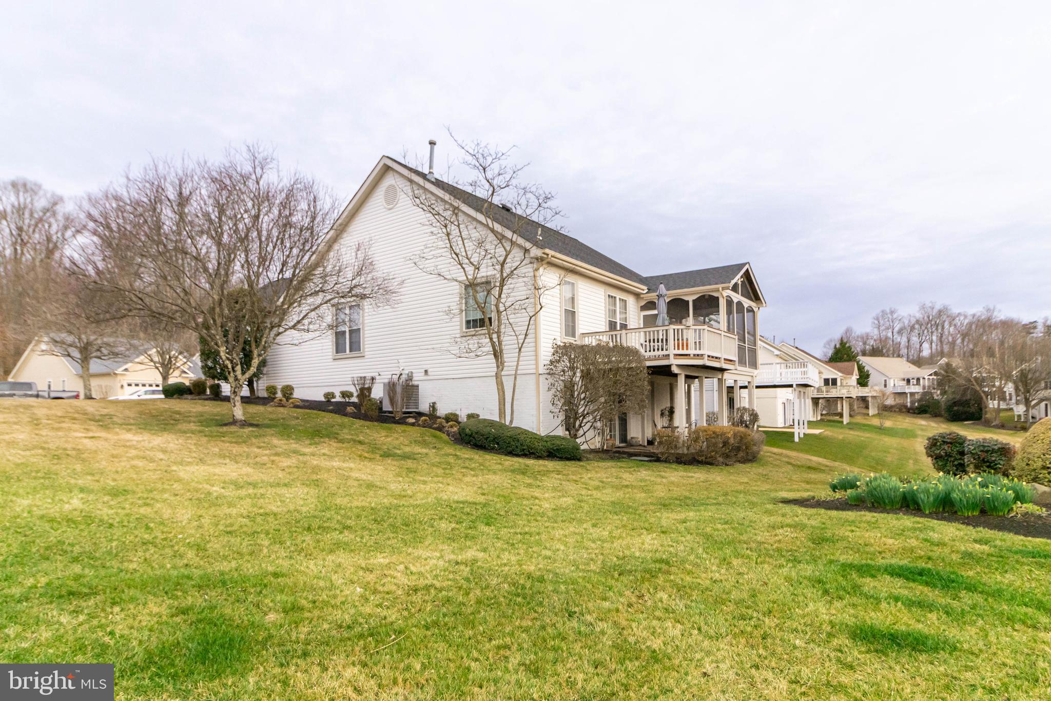Large corner Yard