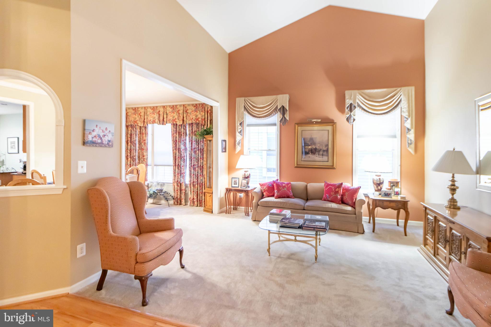 Vaulted Ceiling in Living room