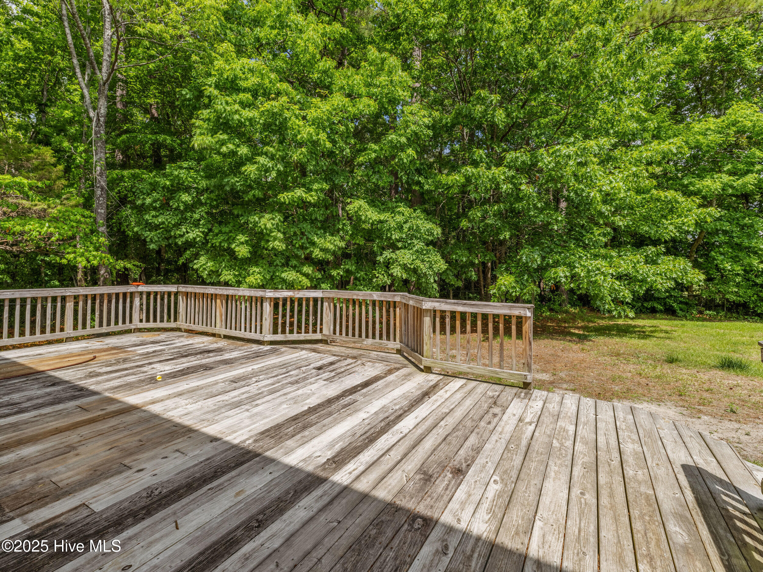 882 Pine Valley Road Jacksonville, NC 28546 - Photo 45 of 50 025a1802