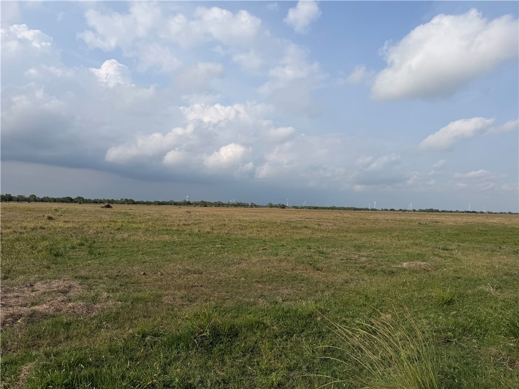 443 Laird Rd Wadsworth Bay City, TX 77414 - Photo 4 of 4