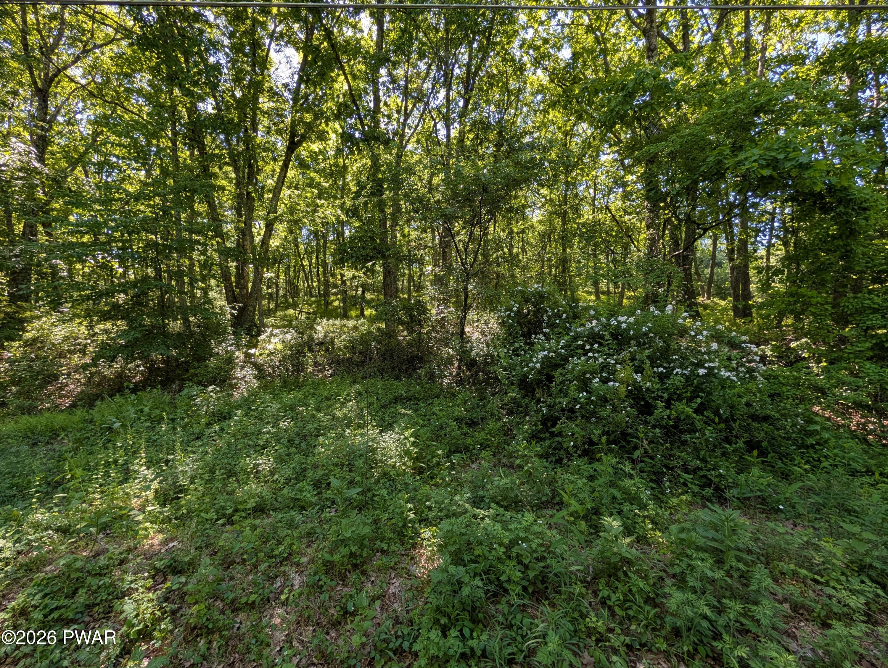 167 Rockledge Road Dingmans Ferry, PA 18328 - Photo 3 of 6