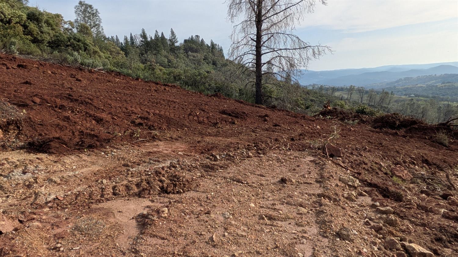 4086 Pilot View Court Pilot Hill, CA 95664 - Photo 17 of 34 a view of a dry yard with trees and stairs