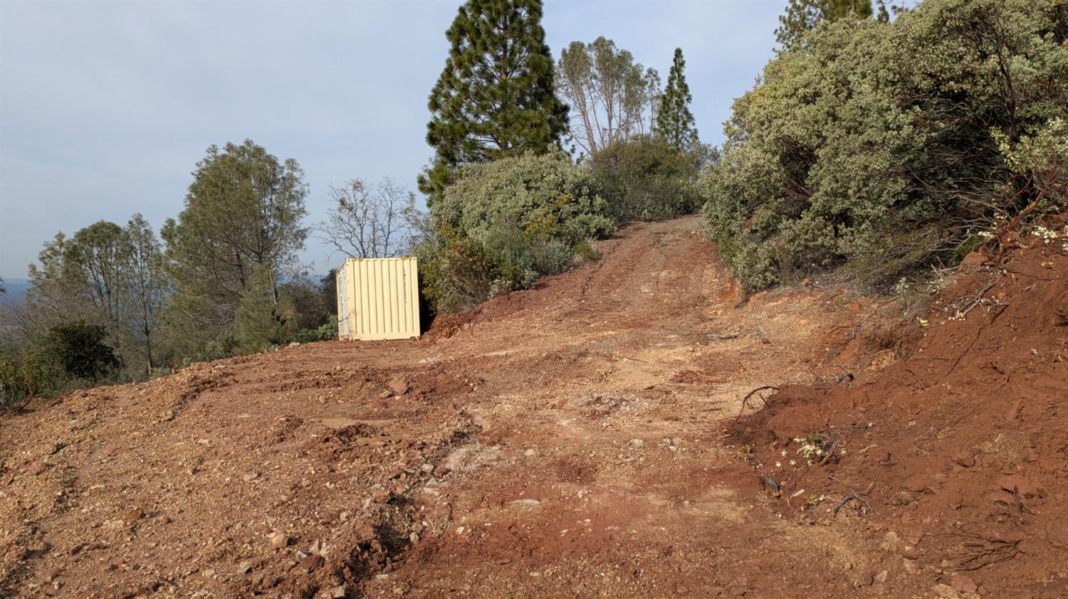 4086 Pilot View Court Pilot Hill, CA 95664 - Photo 19 of 34 a view of a dry yard with trees