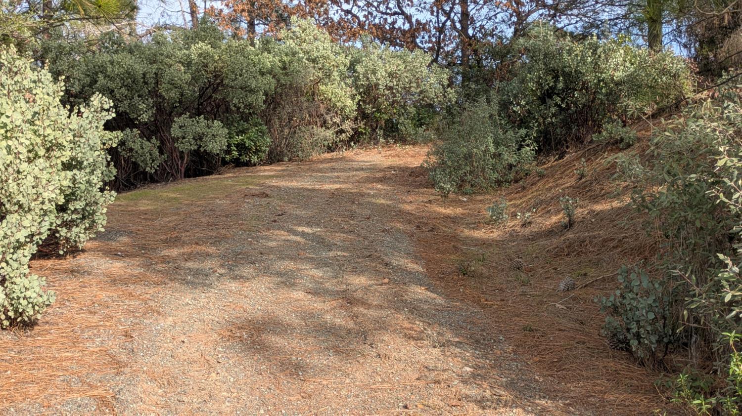 4086 Pilot View Court Pilot Hill, CA 95664 - Photo 24 of 34 a view of a dirt road with trees in the background