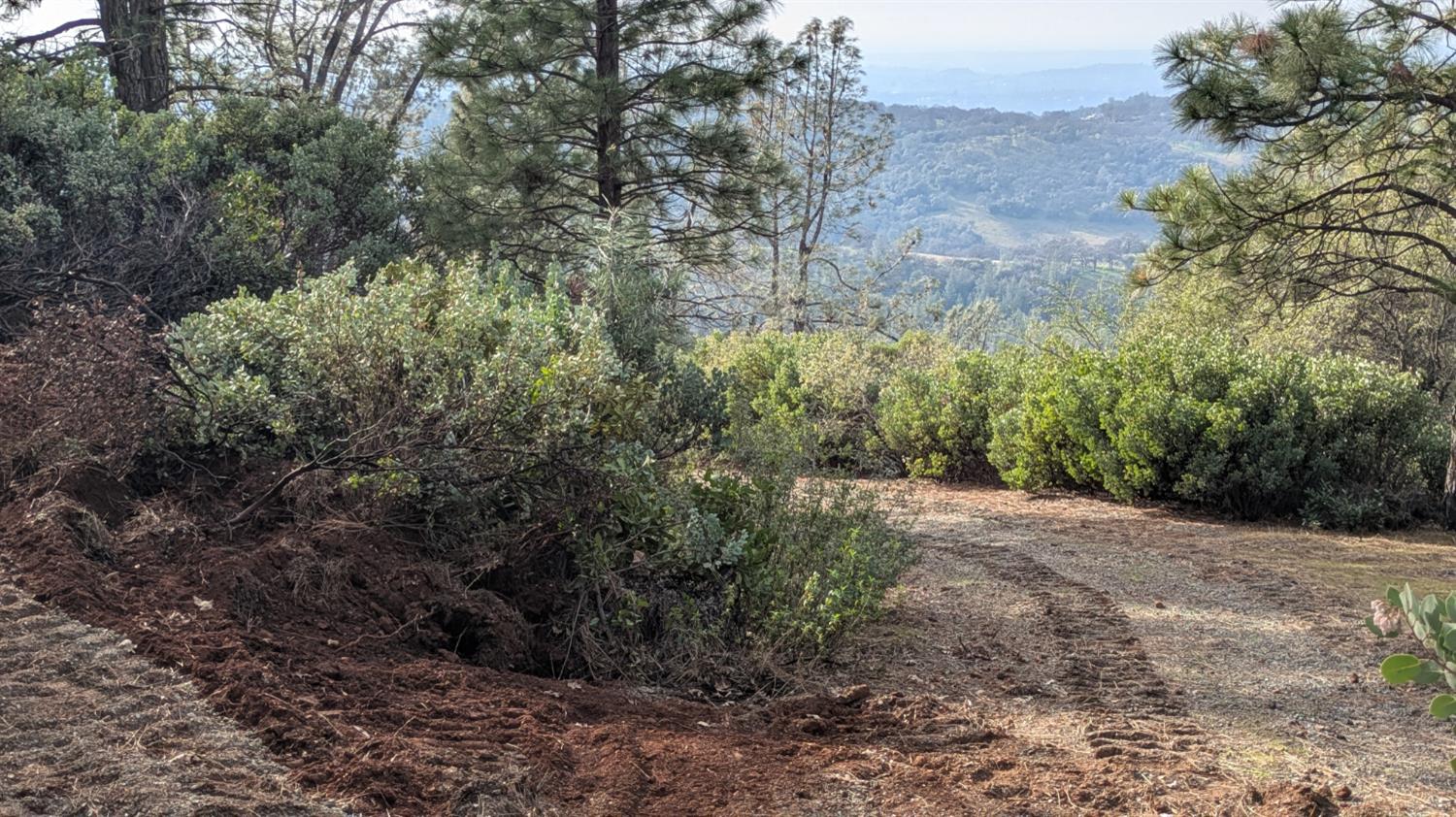 4086 Pilot View Court Pilot Hill, CA 95664 - Photo 27 of 34 a view of a large yard with lots of green space