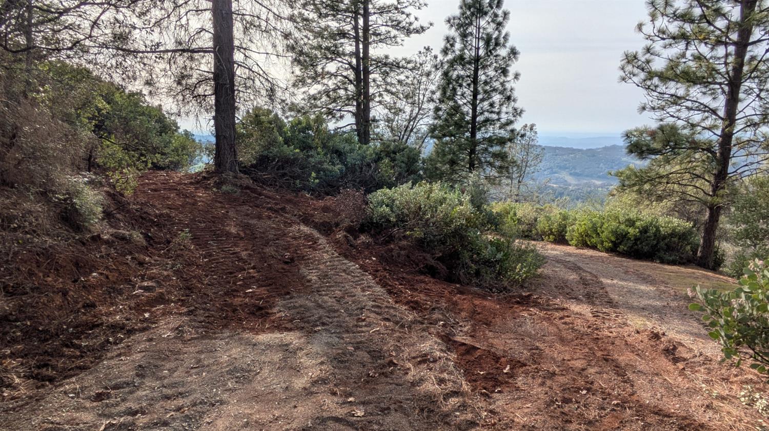 4086 Pilot View Court Pilot Hill, CA 95664 - Photo 28 of 34 a big yard with lots of green space