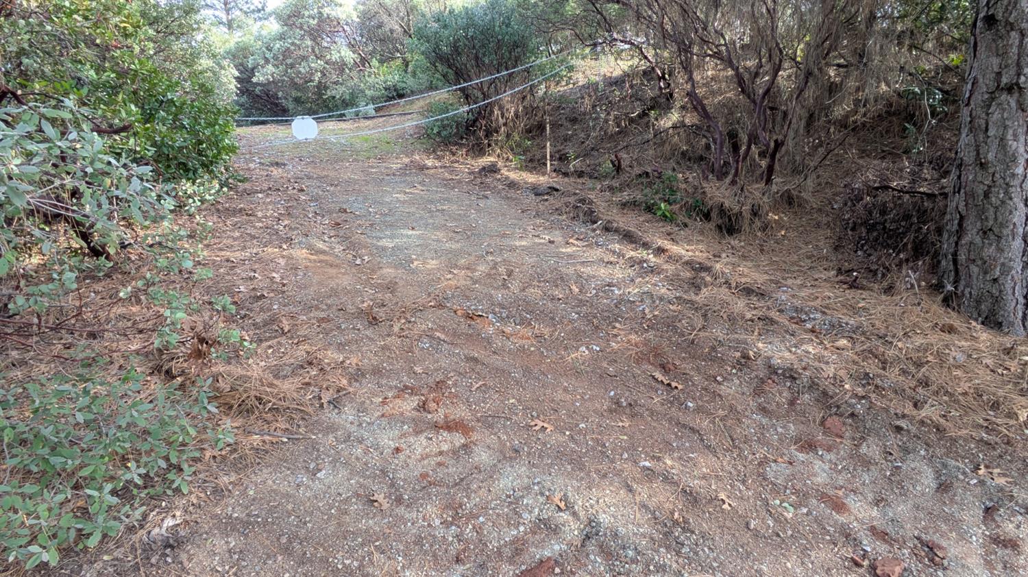 4086 Pilot View Court Pilot Hill, CA 95664 - Photo 29 of 34 a view of a forest with trees in the background