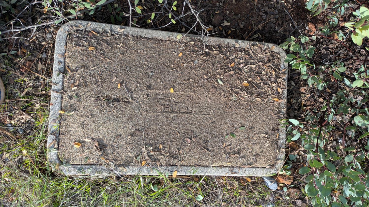 4086 Pilot View Court Pilot Hill, CA 95664 - Photo 33 of 34