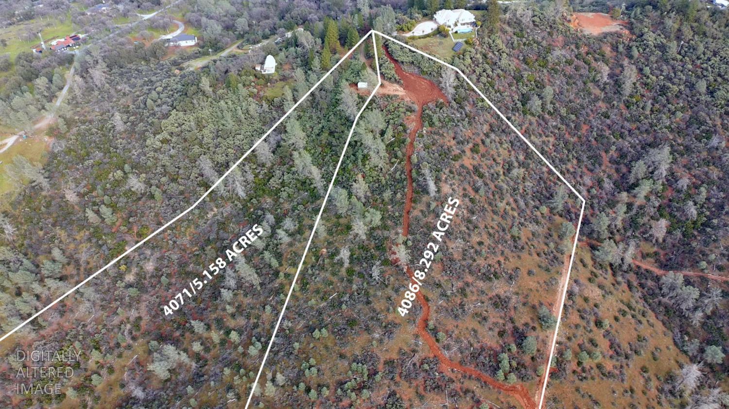 4086 Pilot View Court Pilot Hill, CA 95664 - Photo 5 of 34 a close up of a plant in a forest