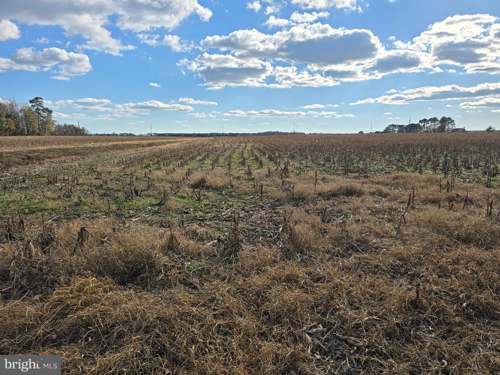 1 Poplar Neck, Unit ROAD Willards, MD 21874 - Photo 14 of 14 View from Northest corner of Lot