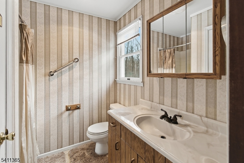 439 Long Hill Road Hillsborough, NJ 08844 - Photo 30 of 41 a bathroom with a sink a toilet and a mirror