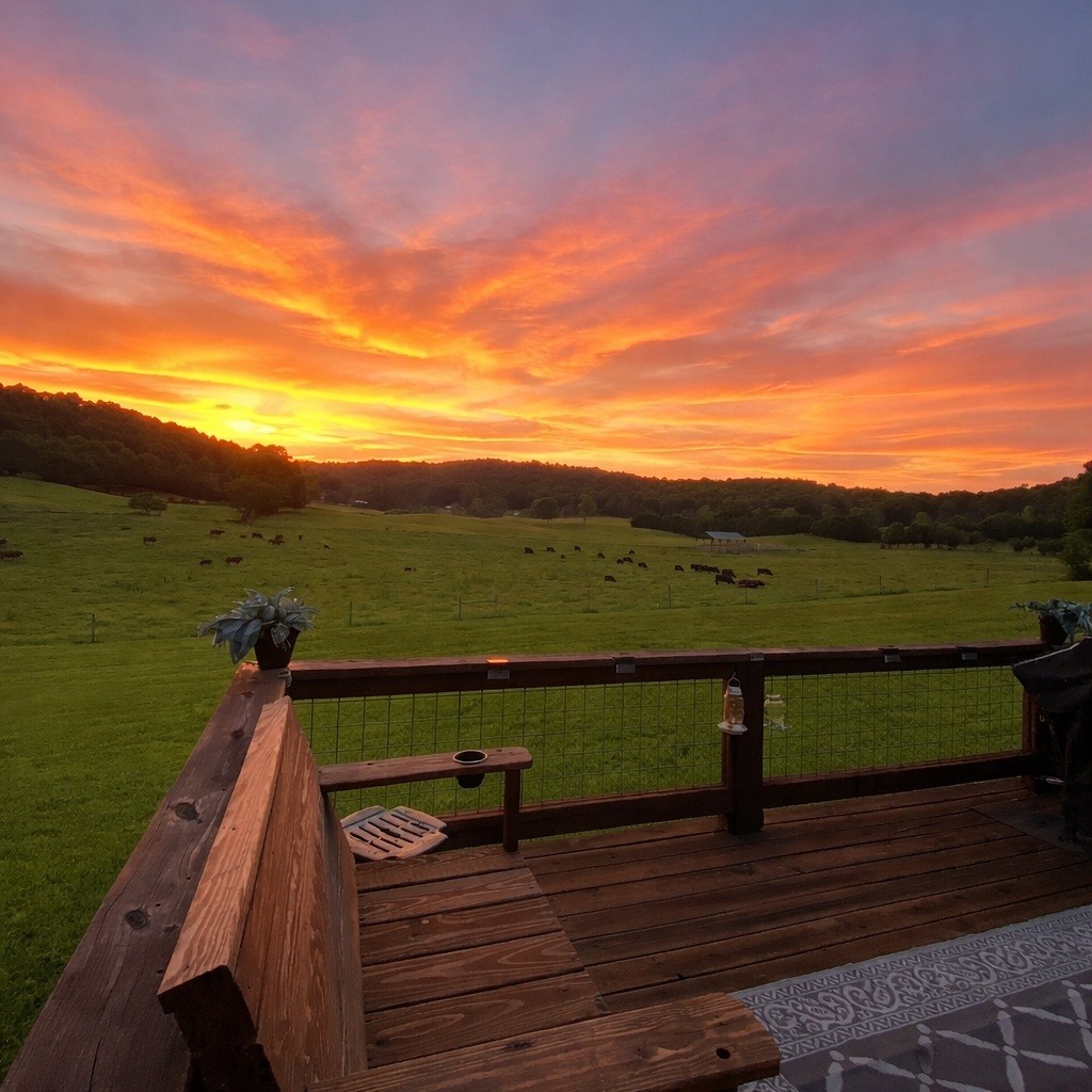 2040 Walker Cove Road Sparta, TN 38583 - Photo 2 of 26 a view of a terrace with a bench