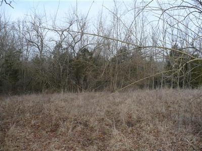 1 Caldwell Road Lawrenceburg, KY 40342 - Photo 1 of 1 Photo 1