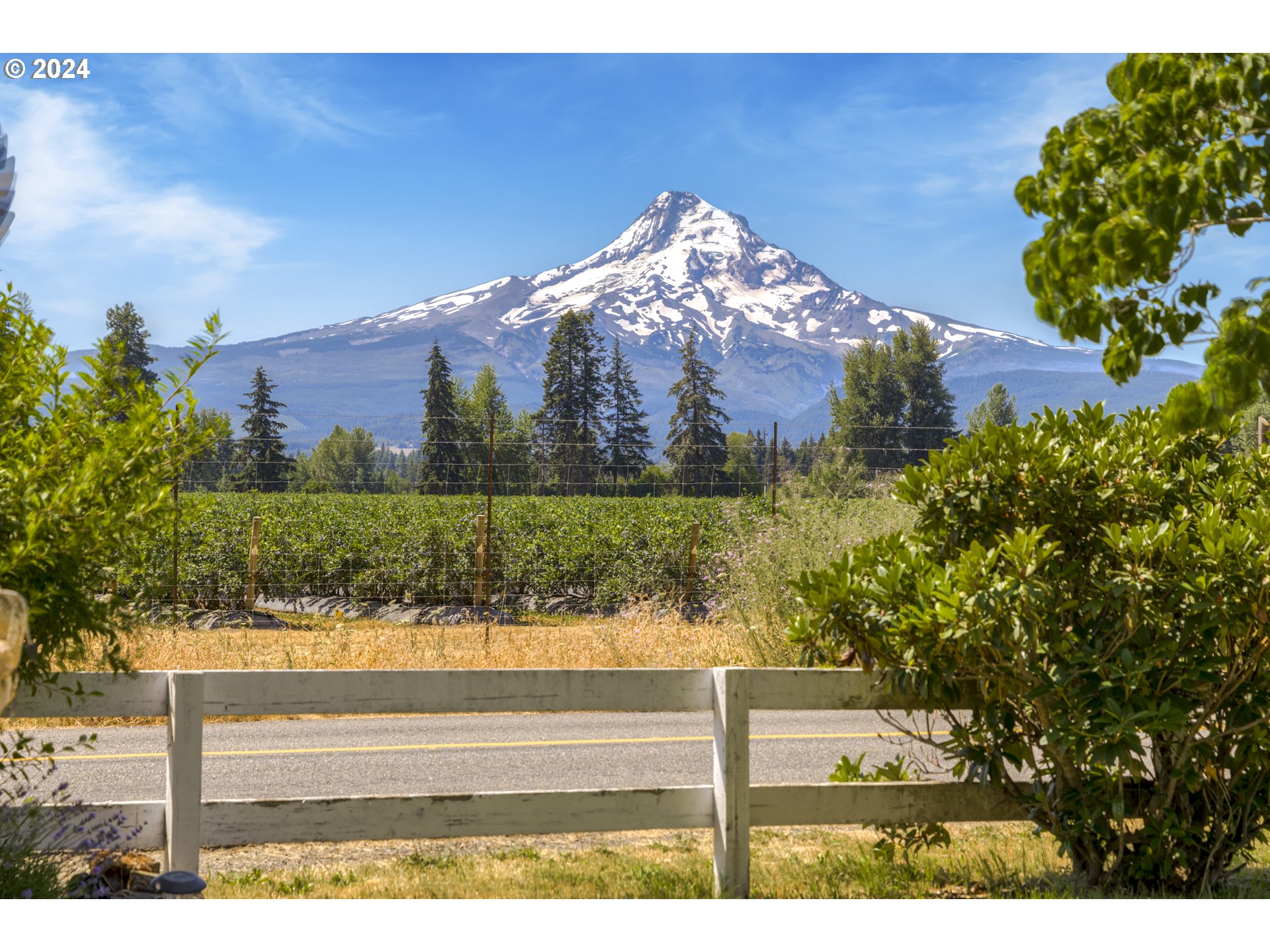 4320 Leasure Drive Mount Hood Parkdale, OR 97041 - Photo 4 of 48